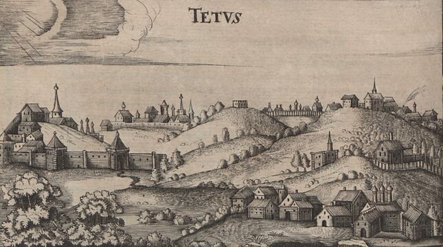 Тетюши (Tetus). Волжский город в авторском издании 1656 года.