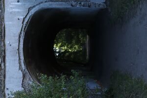 Бывший железнодорожный тоннель на территории форта. Крепостная железная дорога связывала западные батареи с Кронштадтом и позднее с фортом «Риф». Фото: Сергей Баскаков.
